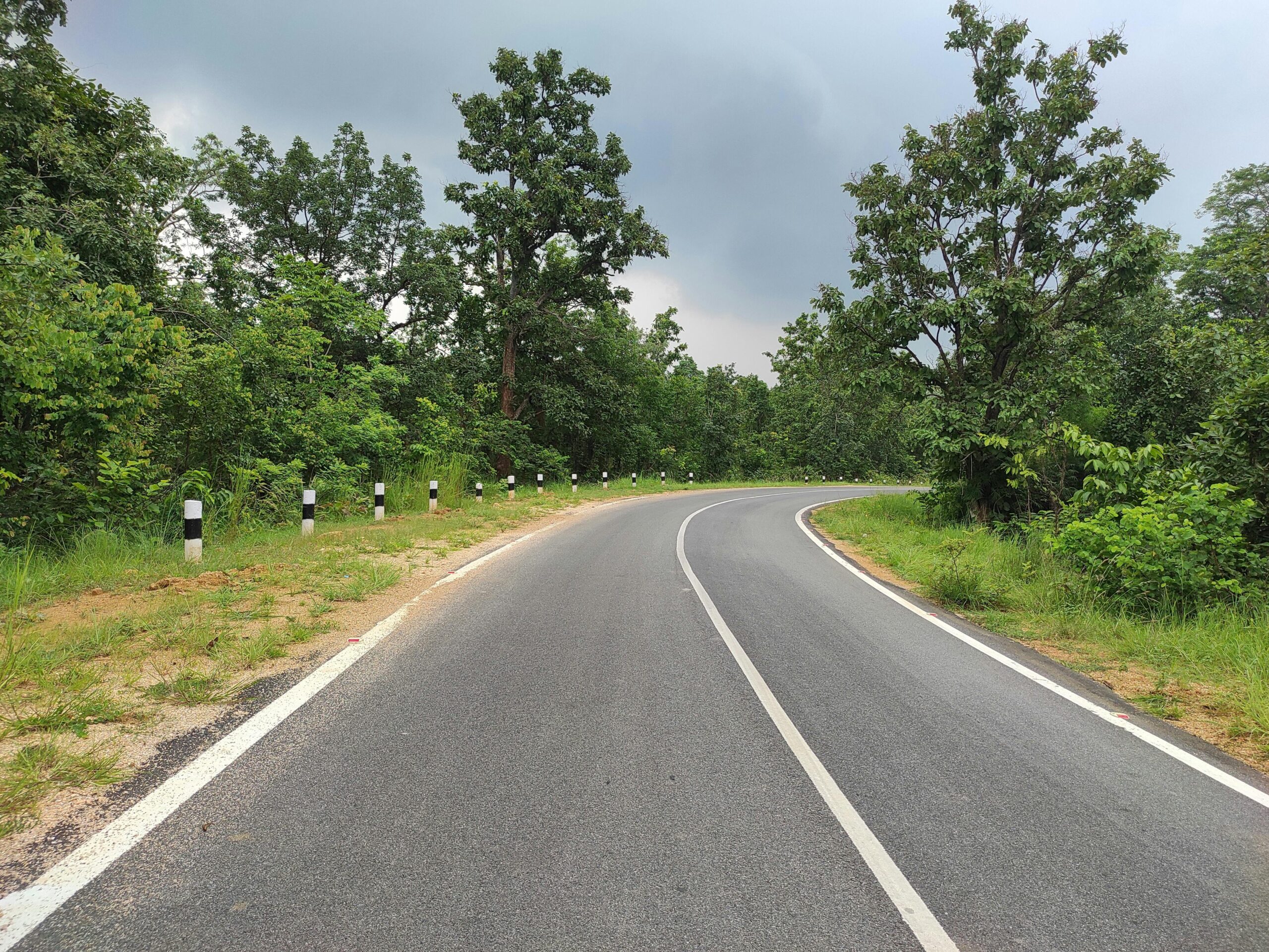 服務內容 A serene curved road surrounded by lush green trees in Odisha, India.